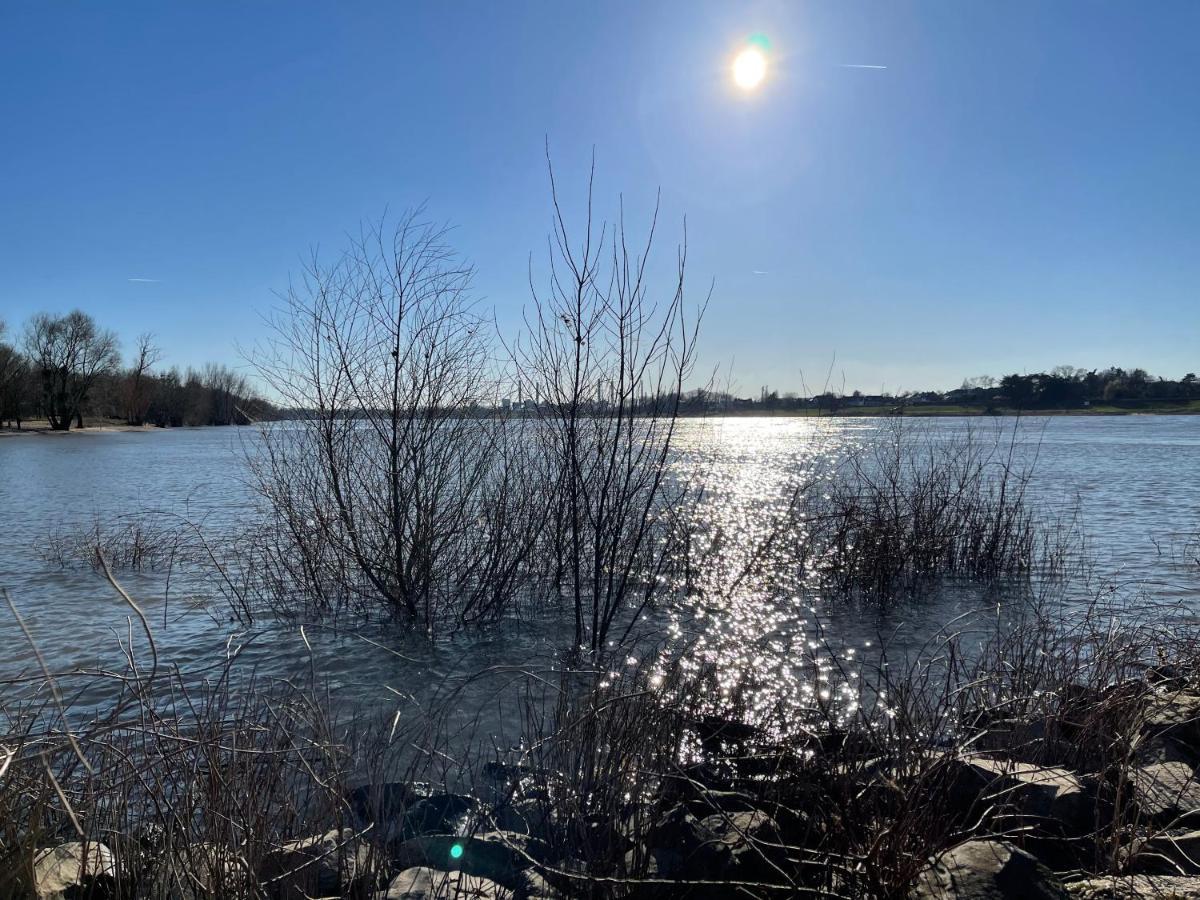 Habitat Himmelgeist Accommodatie bij particulieren